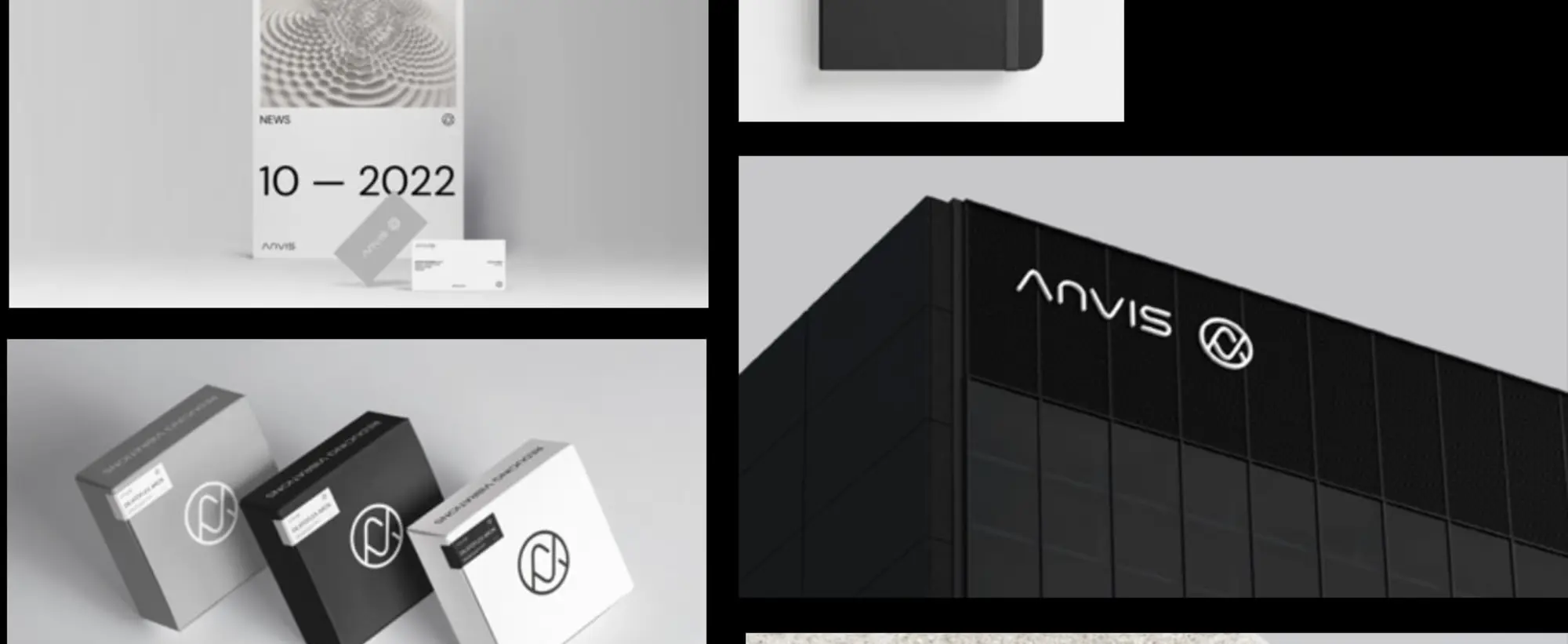 Anvis Rebranding